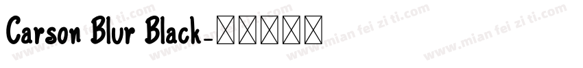 Carson Blur Black字体转换